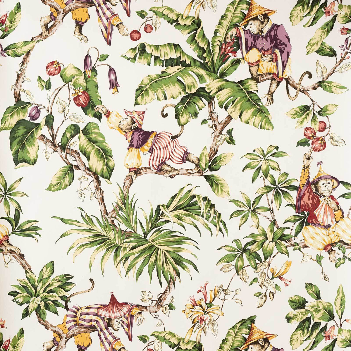 Monkey tropical jungle Wallpaper