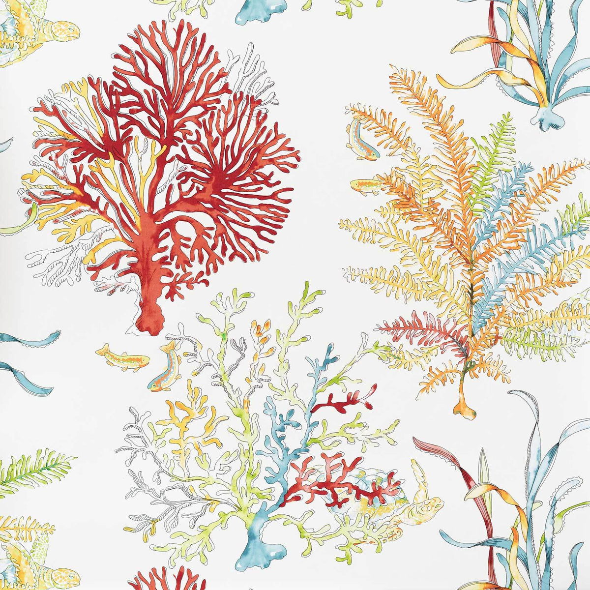 Red coral ocean reef turtle wallpaper