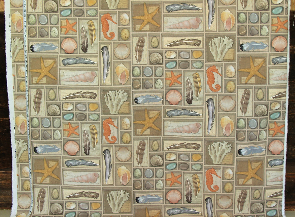 Shell fabric vintage display shelf coastal beach decor