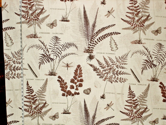Fern Fabric Butterfly Dragonfly Brown Botanical Toile