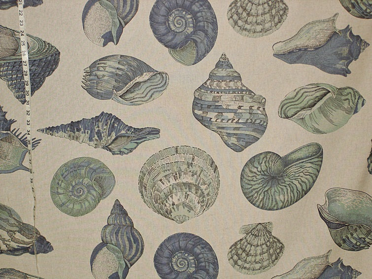 Aqua Blue Seashell Fabric