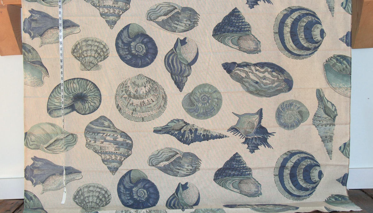 Aqua blue seashell fabric nautilus sea shells Remnant-36"