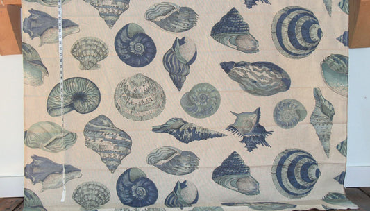 Aqua blue seashell fabric nautilus sea shells Remnant-36"
