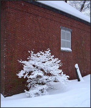 Brick House Fabrics in Winter