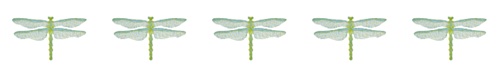 dragonfly-logo