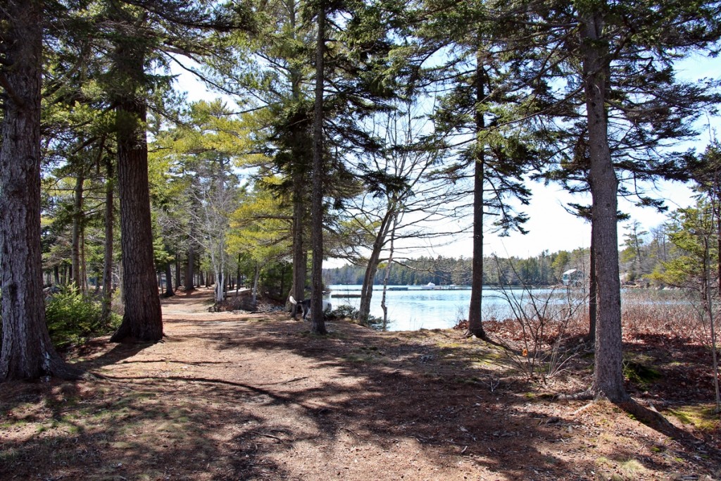 Knickercane Island, Boothbay, Maine