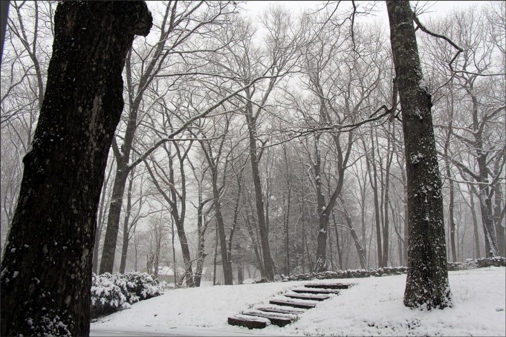 Maine spring snow