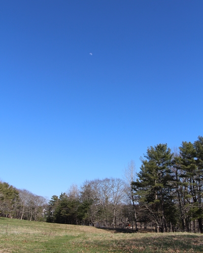 Moon over the meadow