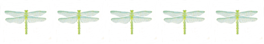 dragonfly-5-1000