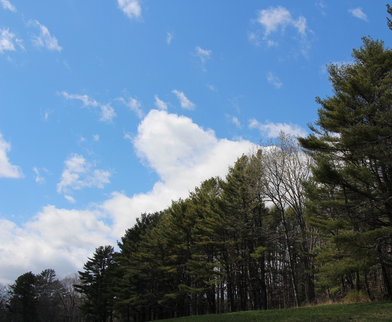 Clouds over the Meadow