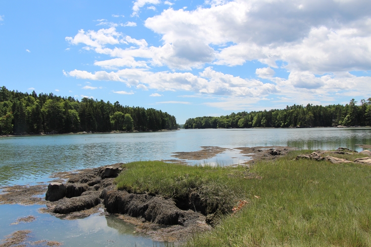 Looking down the Back River, Knickercane Island,  Maine