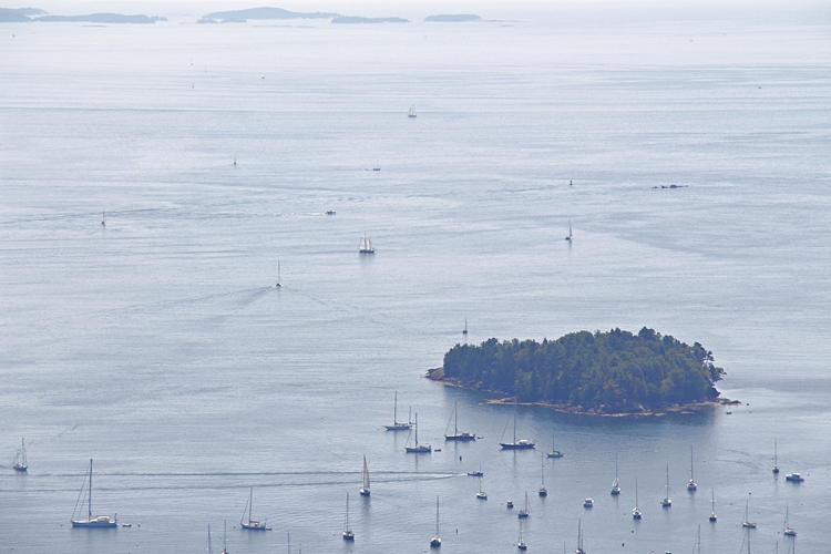 Boats, boats, boats