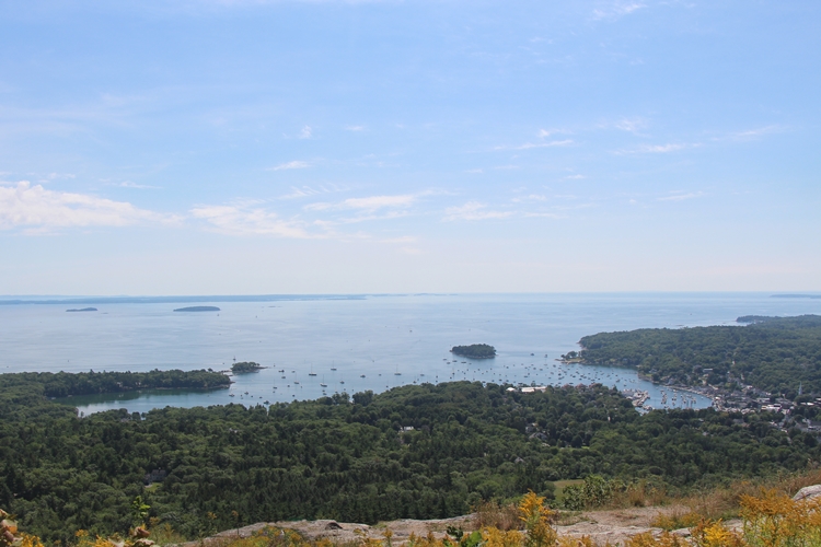 Looking out over Camden Harbor.