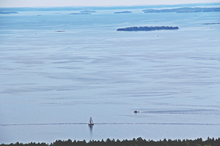 A Sailboat and Lobster Boat Move Past Each Other