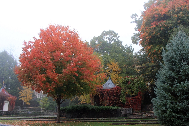 Fall color in Camden