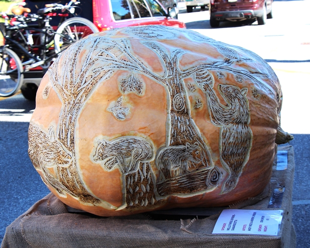 pumpkinfest-2016-2-500