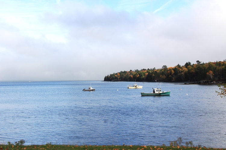 Emery Cove, MDI