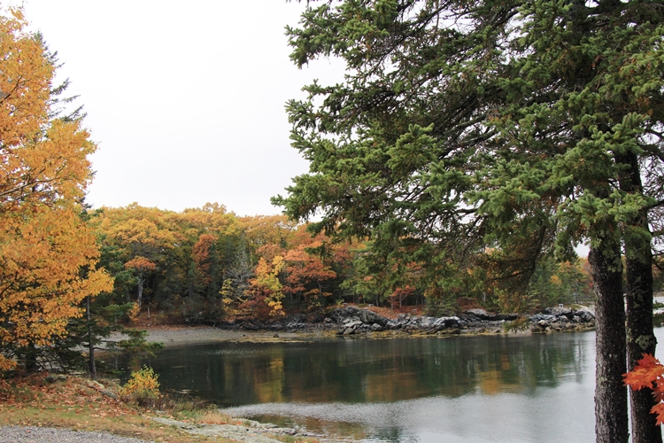 Emery Cove, Mt. Desert Island