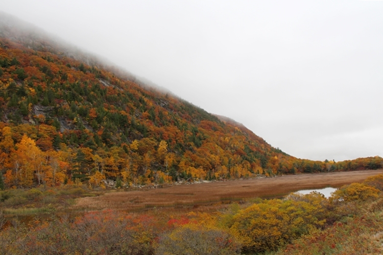 The Tarn, Acadia Park