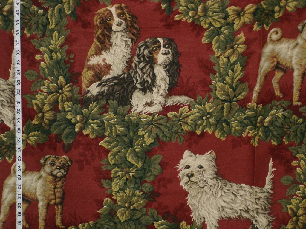 BRUNSCHWIG & FILS DOG FABRIC