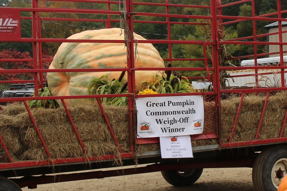 GREAT PUMPKIN COMMONWEALTH WEIGH OFF WINNER- 2023