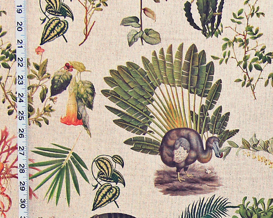 Extinct animal fabric flora fauna Dodo bird