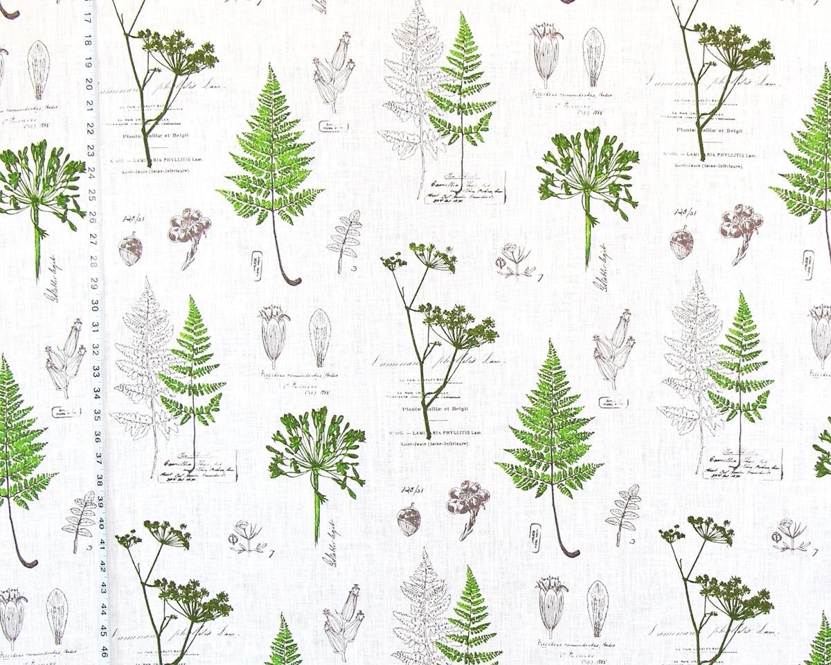 Green fern fabric botanical nature toile meadow linen