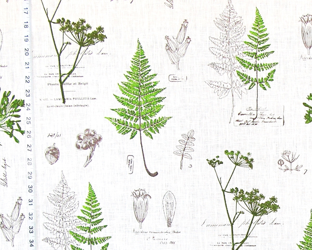 Green fern fabric botanical nature toile meadow linen