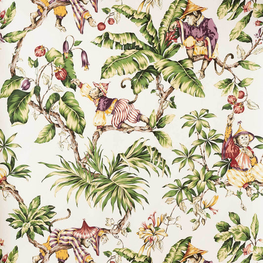 Monkey tropical jungle Wallpaper