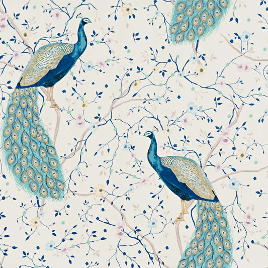 Peacock flower garden Wallpaper
