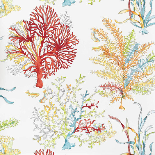 Red coral ocean reef turtle wallpaper