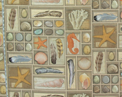 Shell fabric vintage display shelf coastal beach decor
