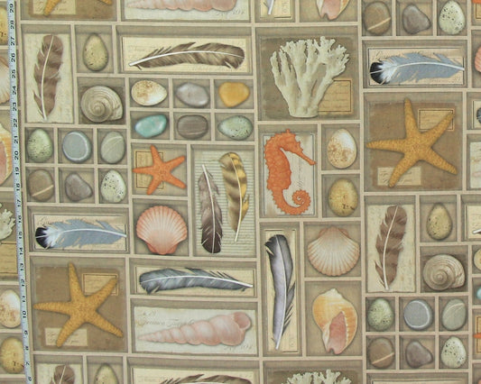 Shell fabric vintage display shelf coastal beach decor