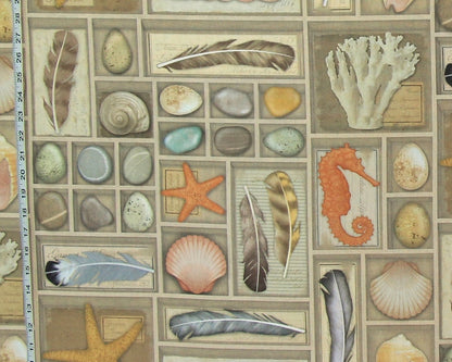 Shell fabric vintage display shelf coastal beach decor