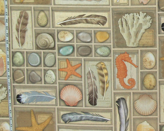 Shell fabric vintage display shelf coastal beach decor