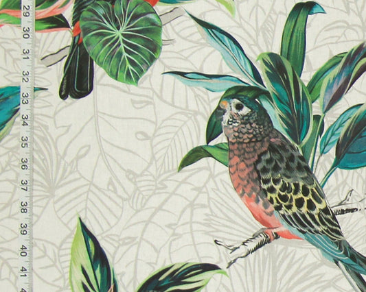 Toucan parrot parakeet budgie fabric tropical jungle