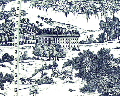 Blue toile fabric French country