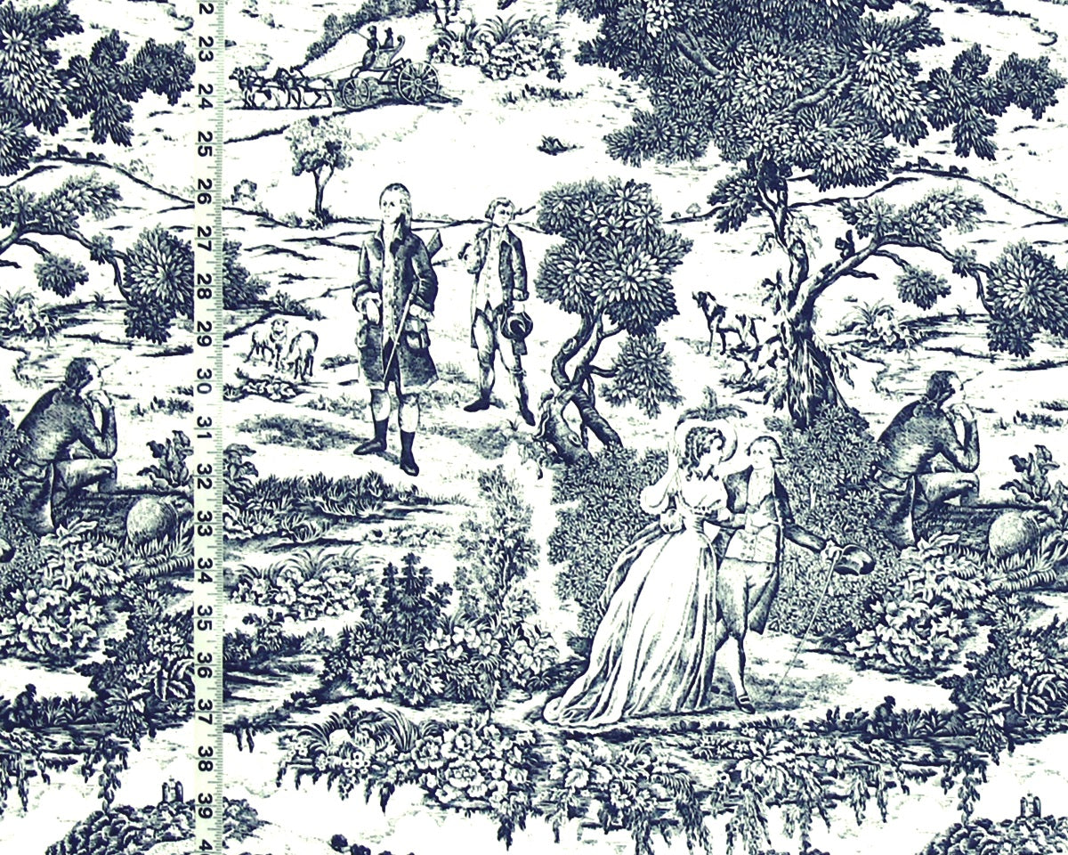 Blue toile fabric French country
