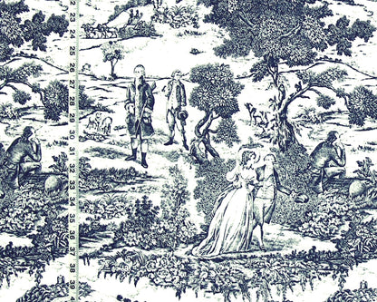 Blue toile fabric French country