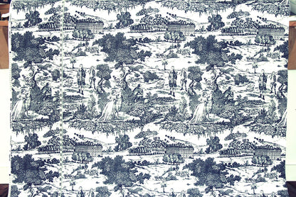 Blue toile fabric French country