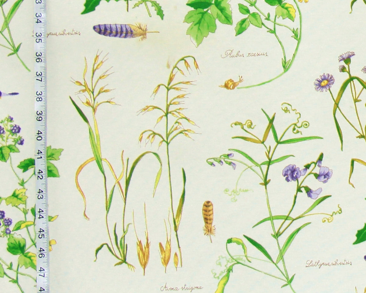 Summer meadow fabric blackberry bird purple sweet pea aster
