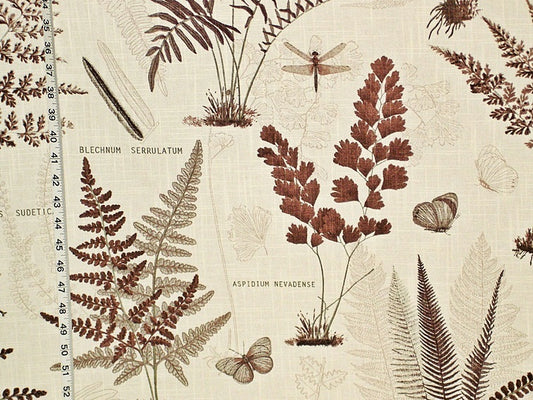 Fern Fabric Butterfly Dragonfly Brown Botanical Toile