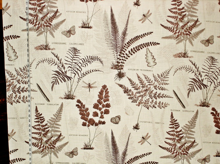 Fern Fabric Butterfly Dragonfly Brown Botanical Toile
