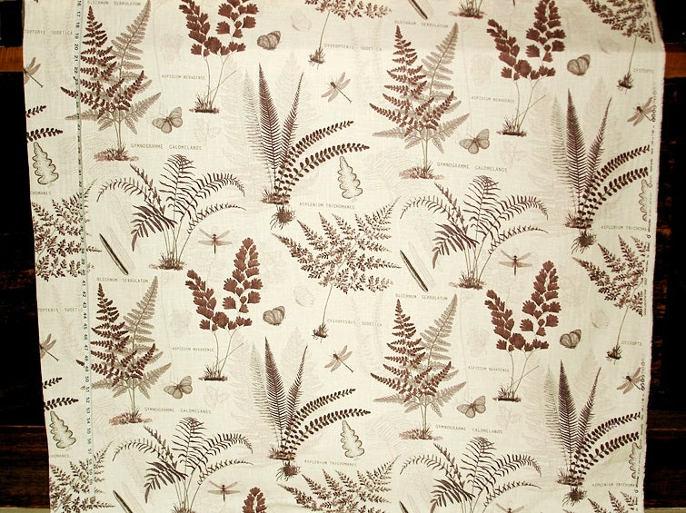 Fern Fabric Butterfly Dragonfly Brown Botanical Toile