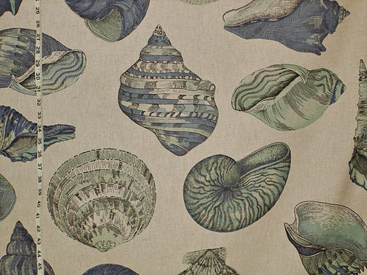 Aqua Blue Seashell Fabric