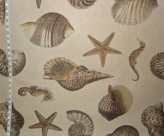 Seashell Seahorse Fabric Brown Nautilus Starfish