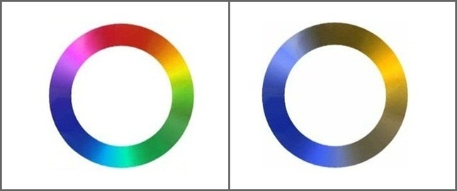 Color wheels of the blind