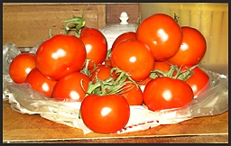 Putting tomatoes by