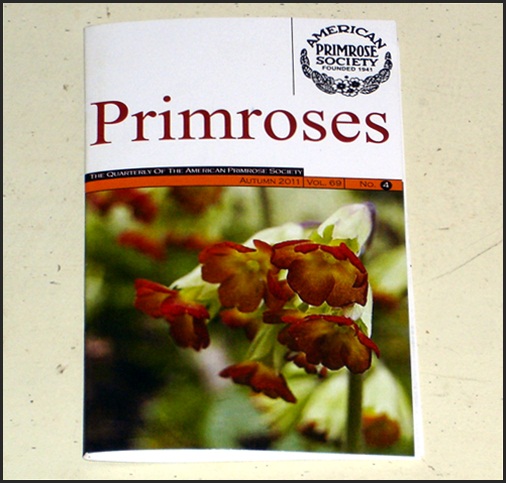 American Primrose Society