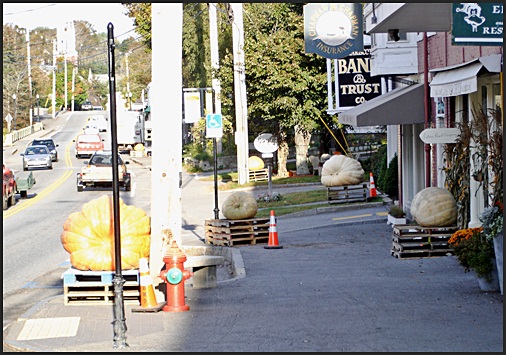 Damariscotta Pumpkin Fest